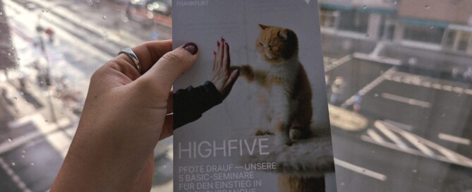 Eine Hand hält einen Flyer vor dem Hintergrund einer leeren Straße.