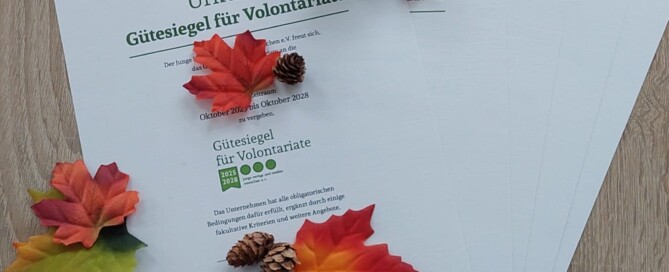 Urkunden "Gütesiegel für Volontariate" liegen auf hölzernem Hintergrund und bunte Herbstblätter und Tannzapfen schmücken die Auslage.